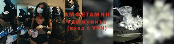 прущие грибы Коряжма