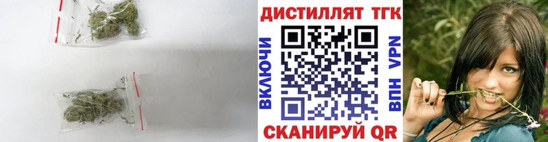 OMG как зайти  Старая Русса  ТГК вейп с тгк 