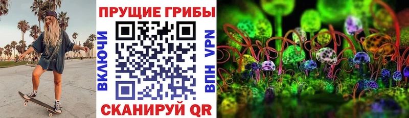 Псилоцибиновые грибы Psilocybe  что такое наркотик  Старая Русса 
