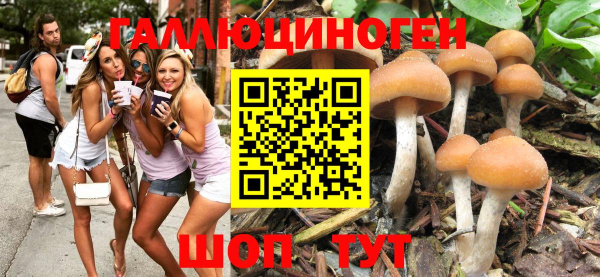 Псилоцибиновые грибы Magic Shrooms  Вход с VPN  Старая Русса 